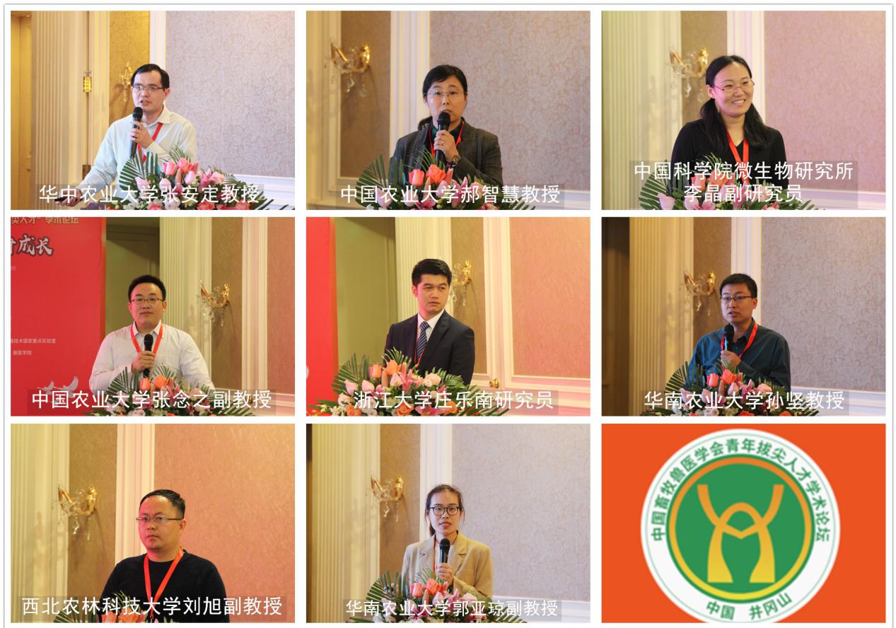 问鼎娱乐app(中国)官网下载入口