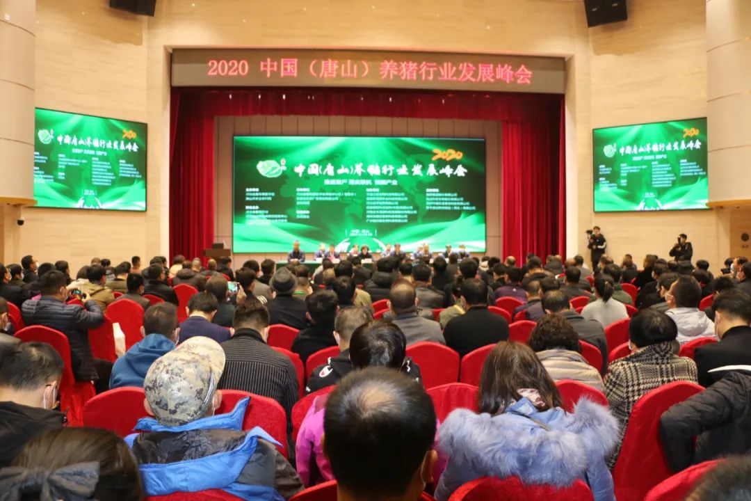 问鼎娱乐app(中国)官网下载入口