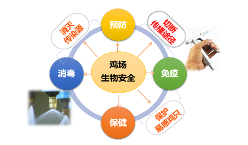 问鼎娱乐app(中国)官网下载入口