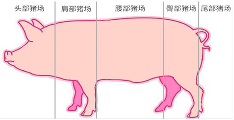 问鼎娱乐app(中国)官网下载入口